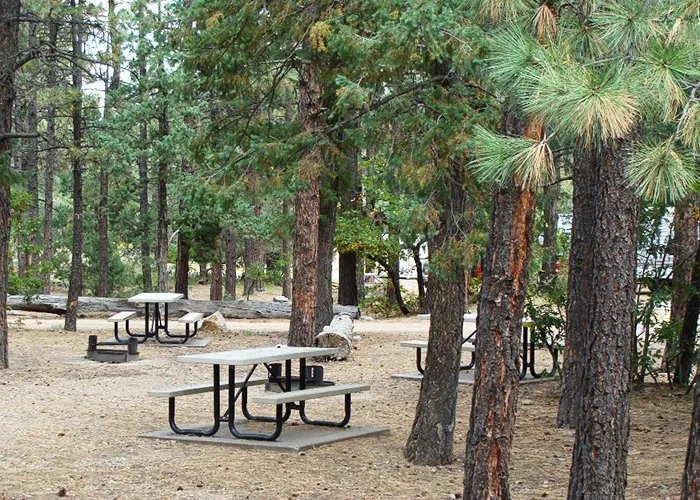 Cimarron Canyon