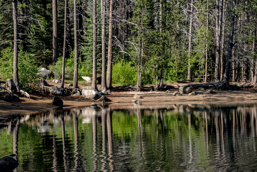 Donner Memorial State Park Campground