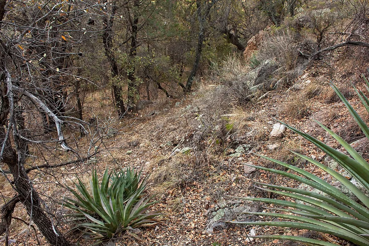 Sunny Flat Campground
