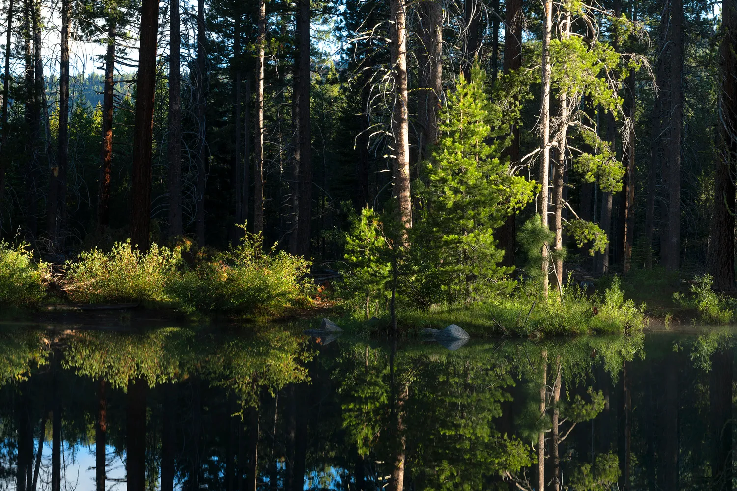 Donner Memorial State Park Campground
