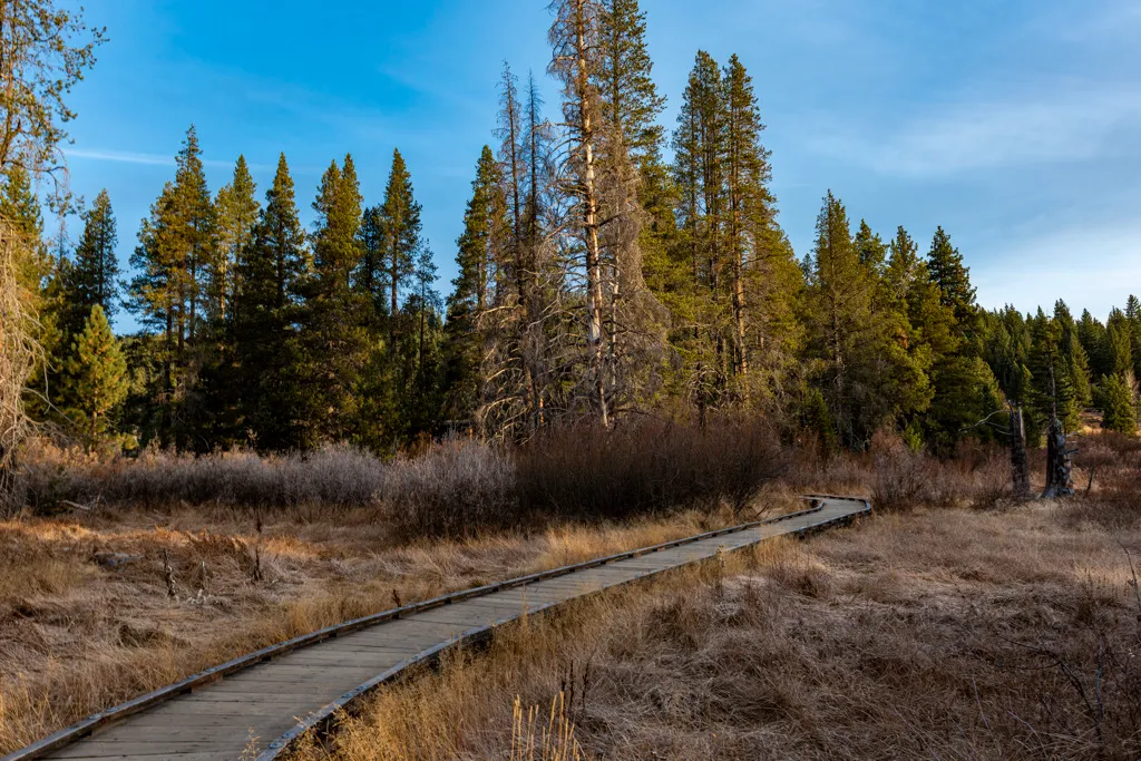 Donner Memorial State Park Campground