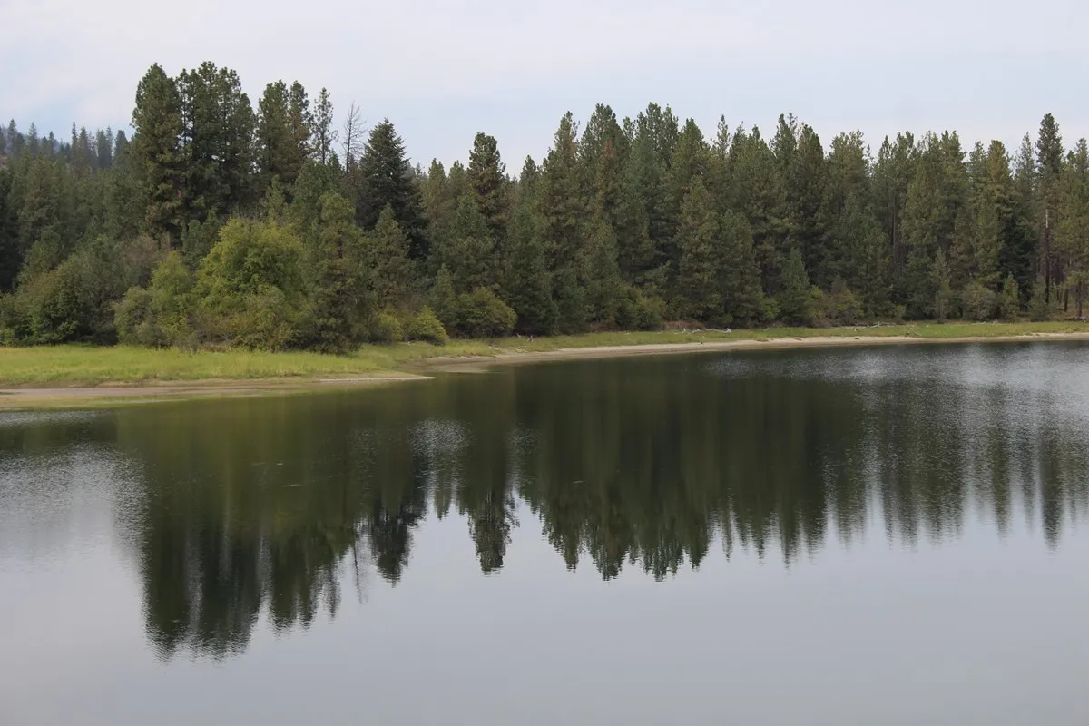Evans Group Camp