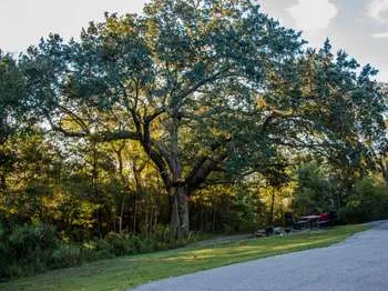 Davis Bayou Group Campground