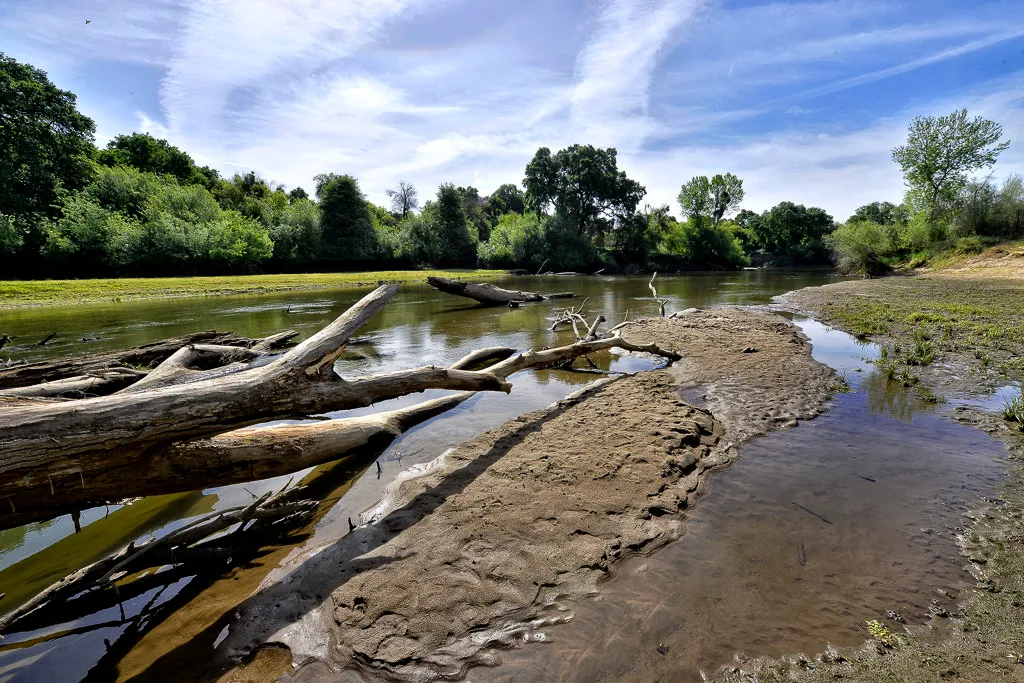 Caswell Memorial State Park Campground