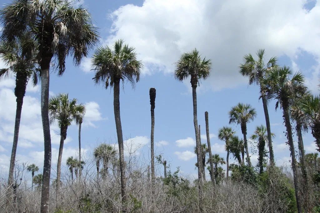 Seminole State Park