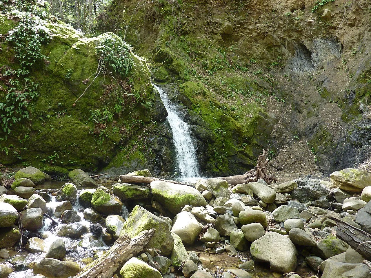 Uvas Canyon