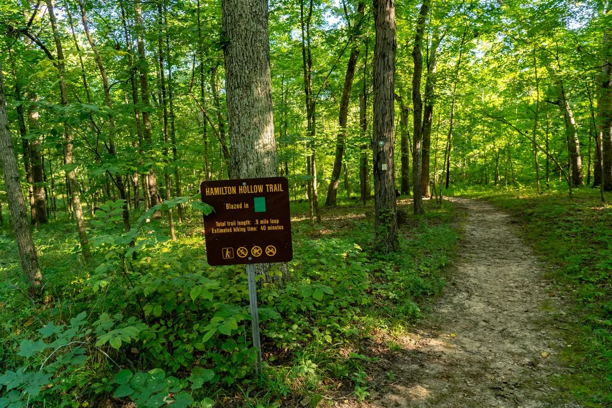 Campground (Sites 69-100)