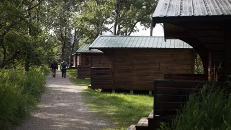 D.H. Day Group Campground