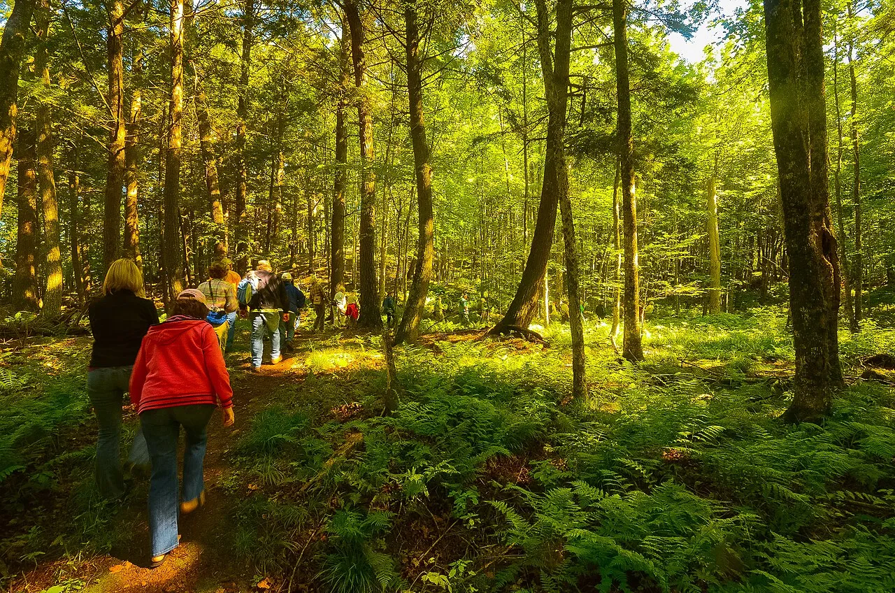 Northern Highland - American Legion State Forest