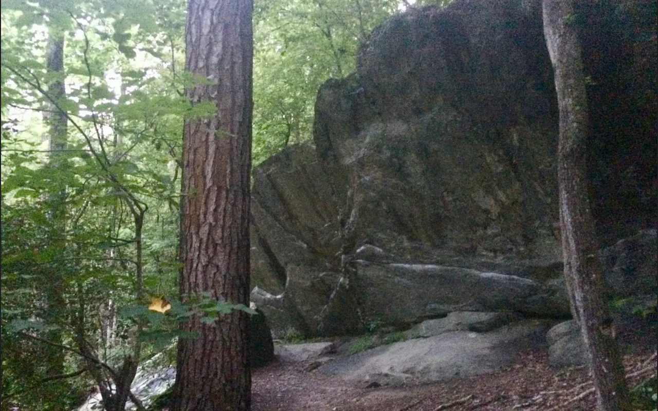 William B. Umstead State Park
