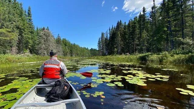 Voyageurs National Park Camping Permits
