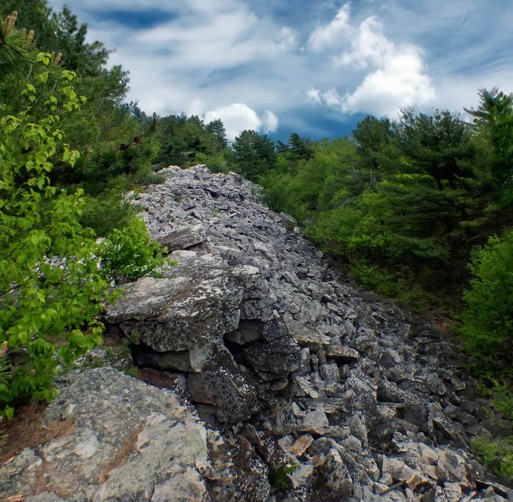Tuscarora State Forest