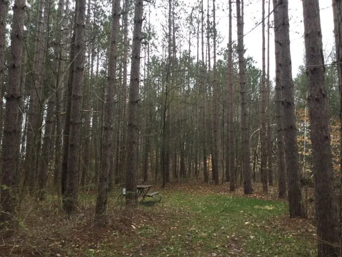 Sunrise Lake State Forest Campground