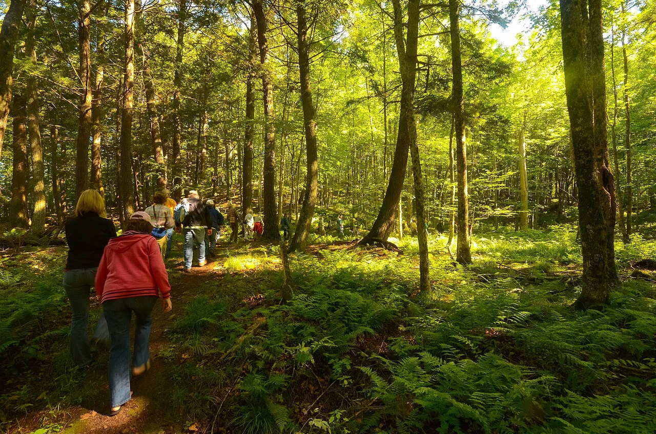 Northern Highland - American Legion State Forest
