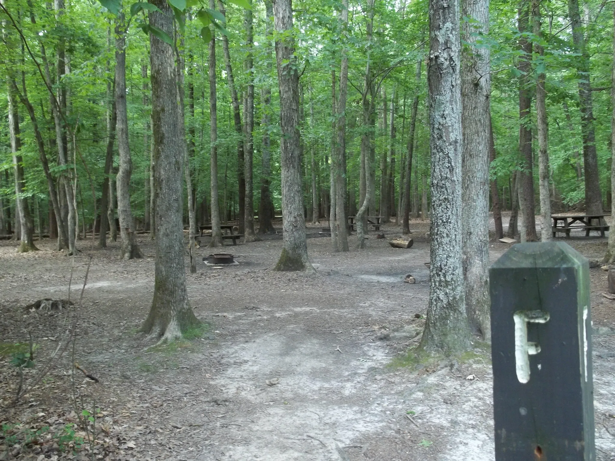 Turkey Run Ridge Group