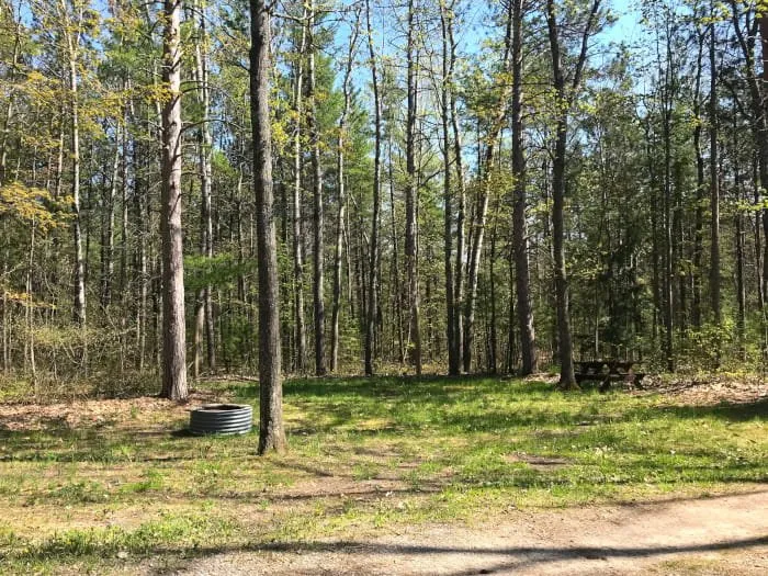 Black Lake Trail Camp