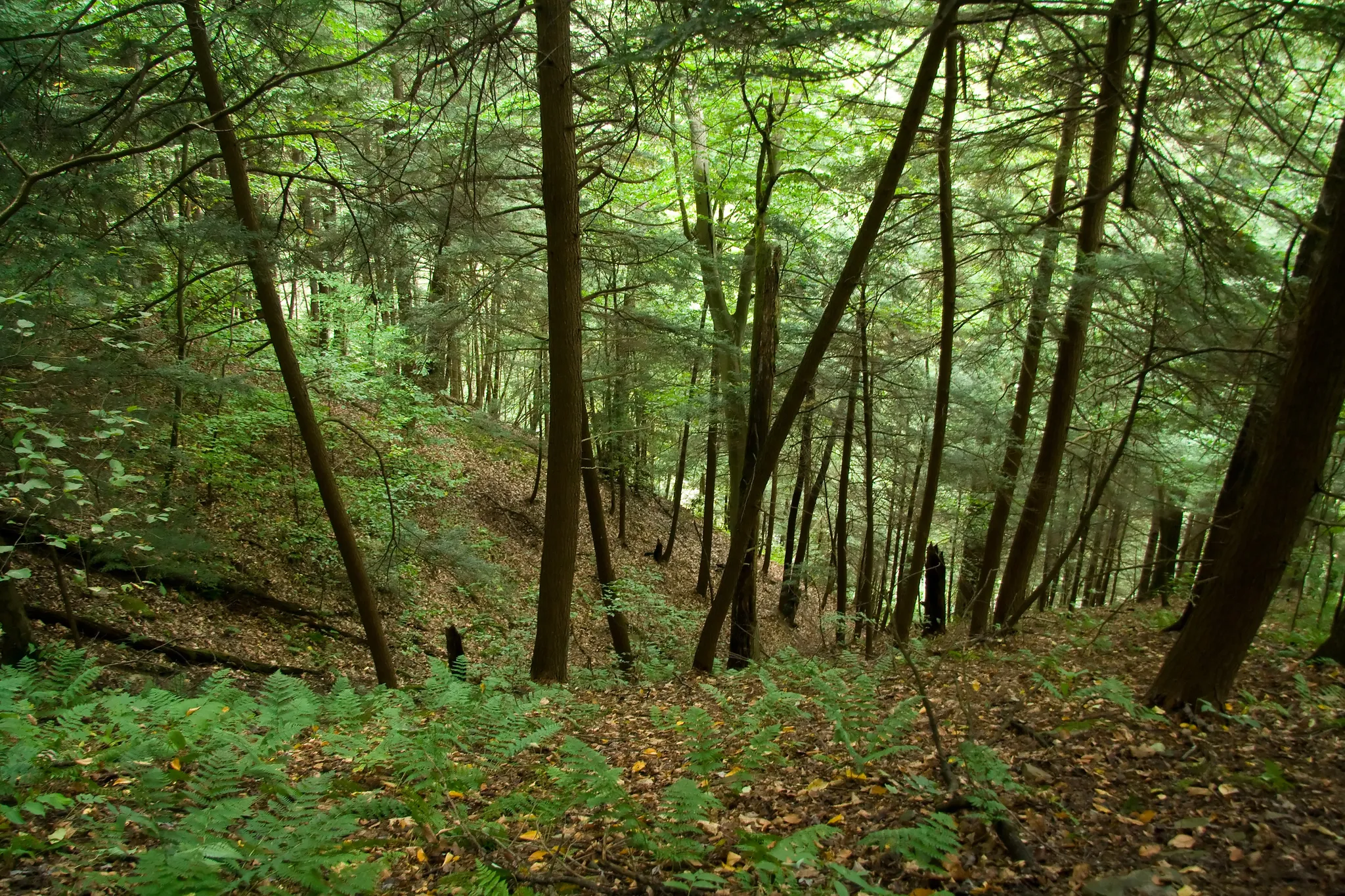 Oil Creek State Park
