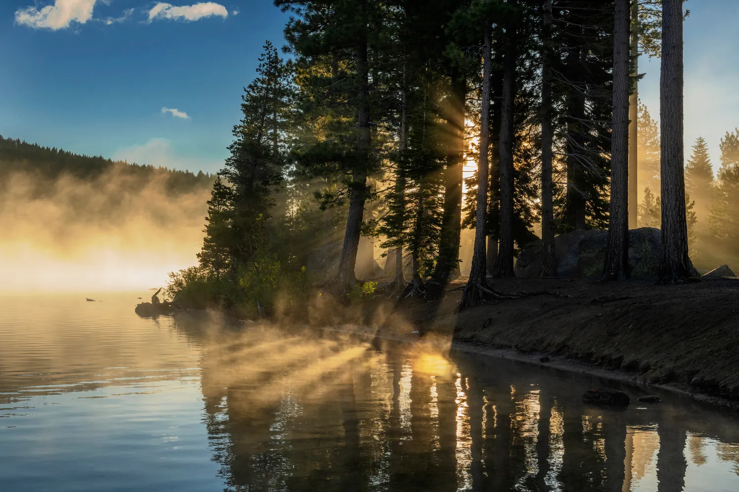Donner Memorial State Park Campground