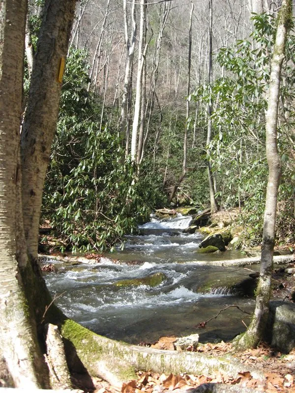 Hornsilver Campground