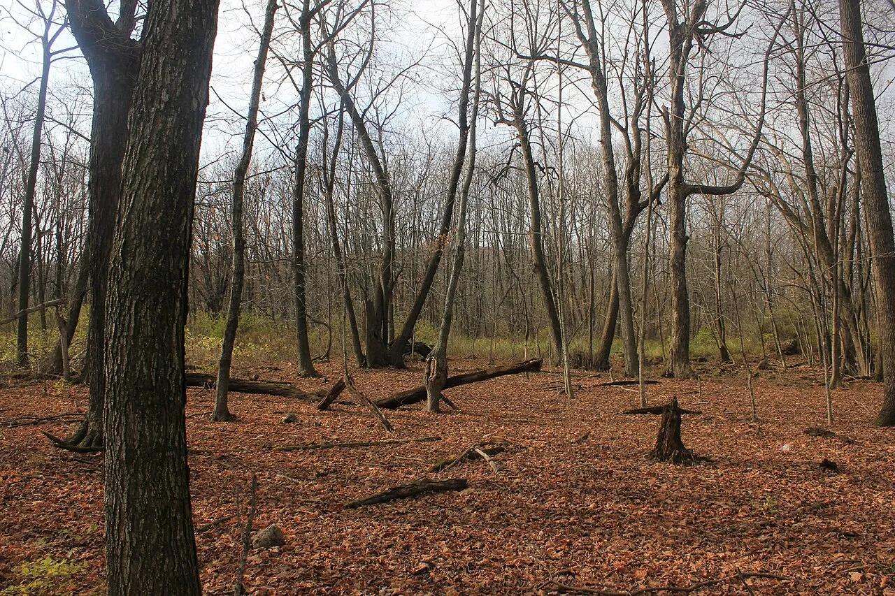 Blue Mound State Park