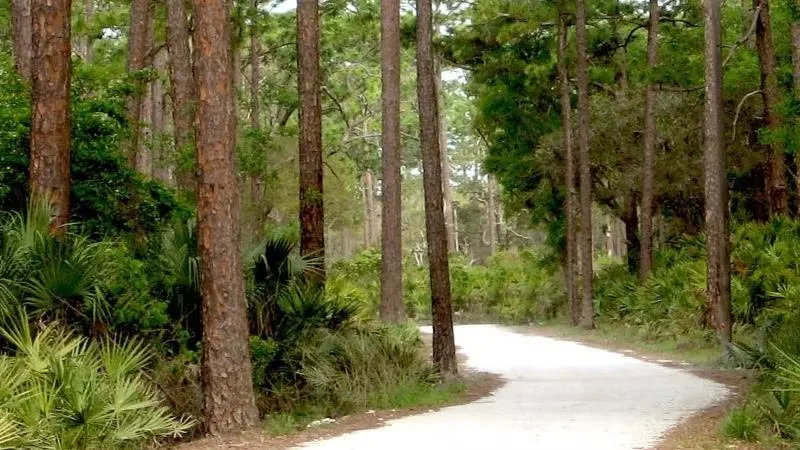 Faverdykes Campground