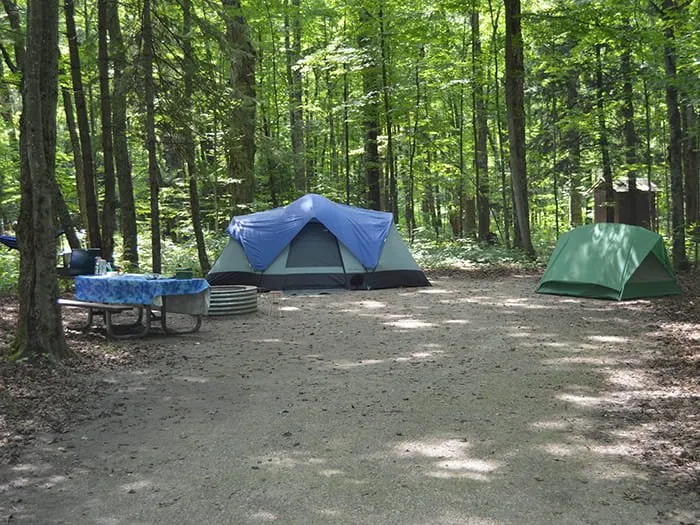 Platte River State Forest Campground