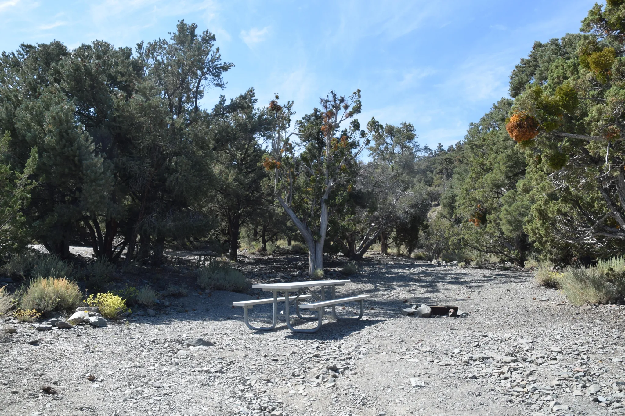 Thorndike Campground (Primitive)
