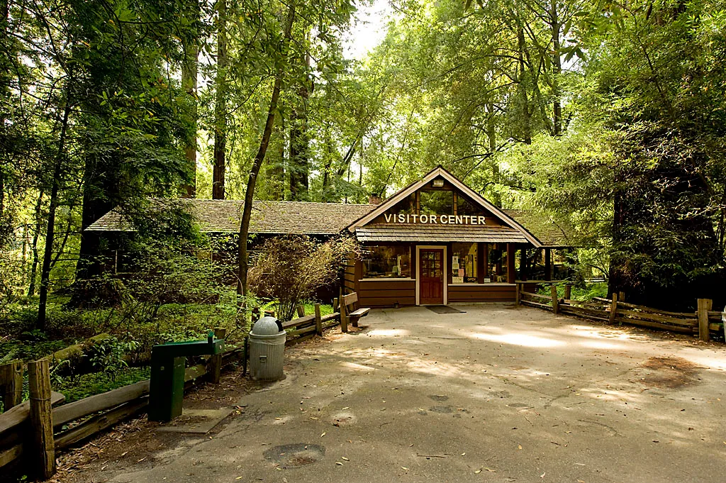 Henry Cowell Redwoods State Park Campground