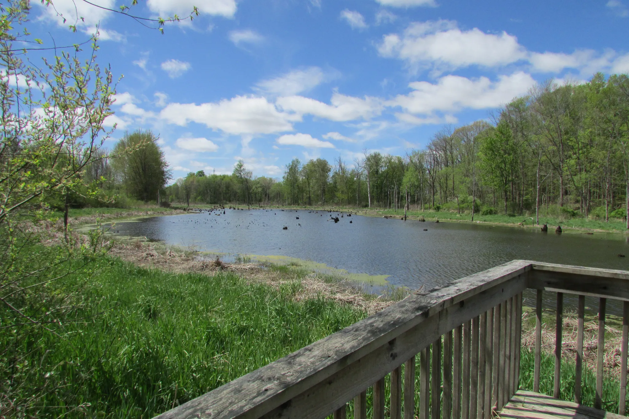 Potato Creek State Park
