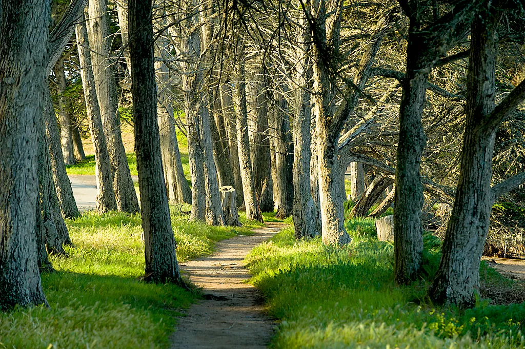 Morro Bay State Park Campground