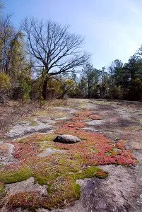 Panola Mountain State Park