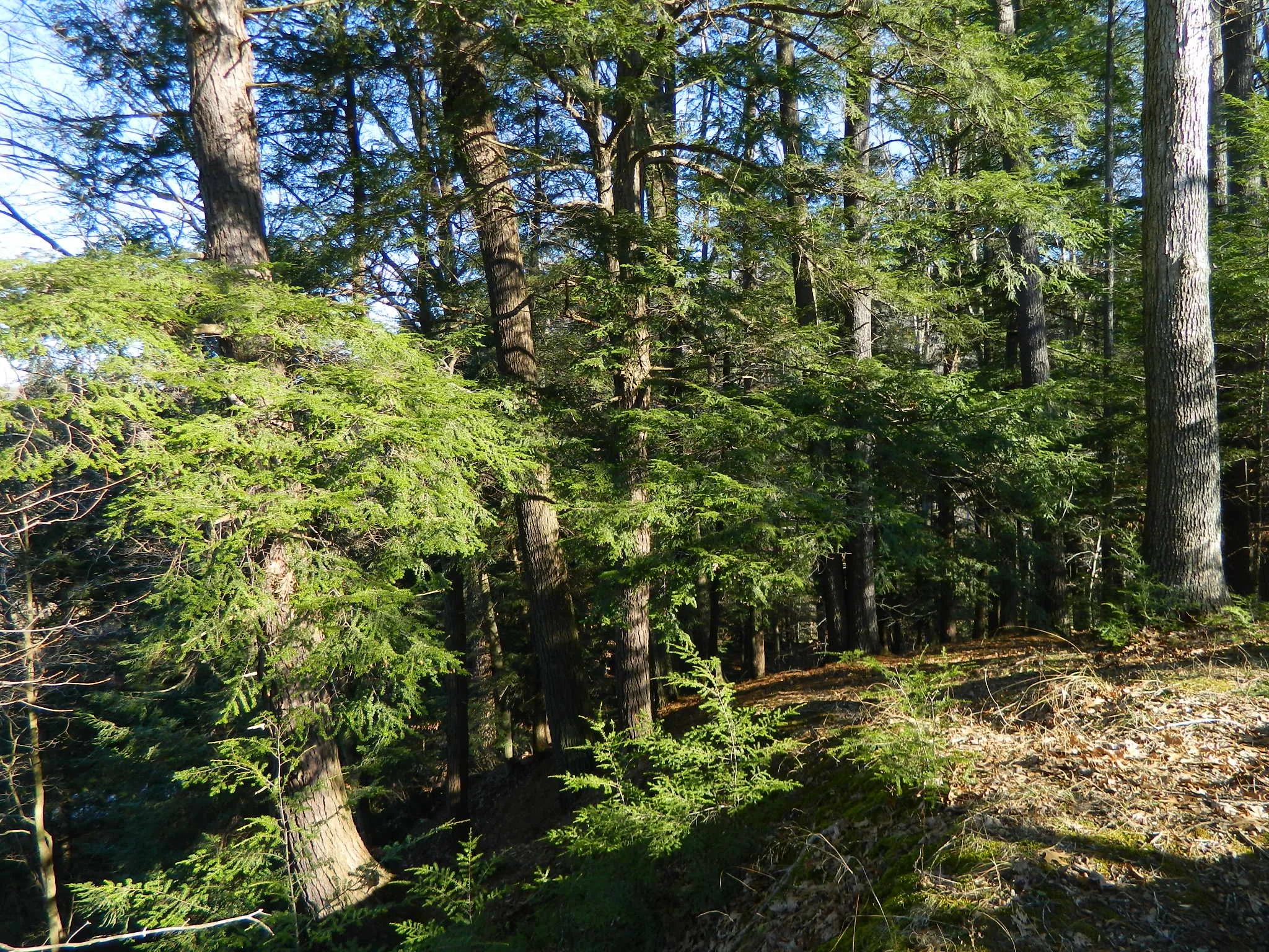 Shades State Park