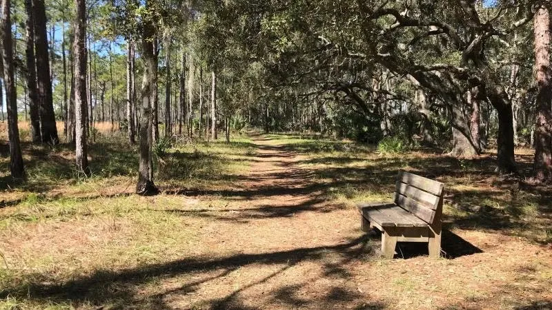 Lake Kissimmee State Park Loop Lk1