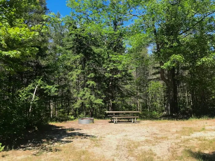 Reed & Green Bridge State Forest Campground