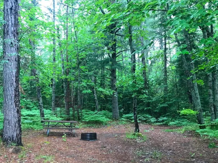 High Bridge State Forest Campground