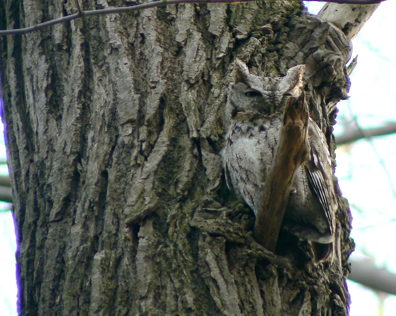 Maumee Bay Campground Sites 119-256