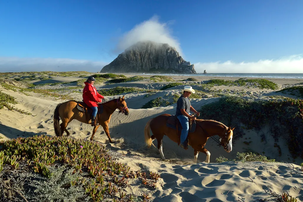 Morro Strand State Beach Campground