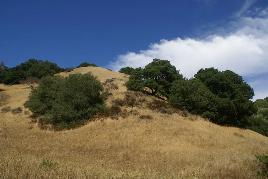 Briones Regional Park