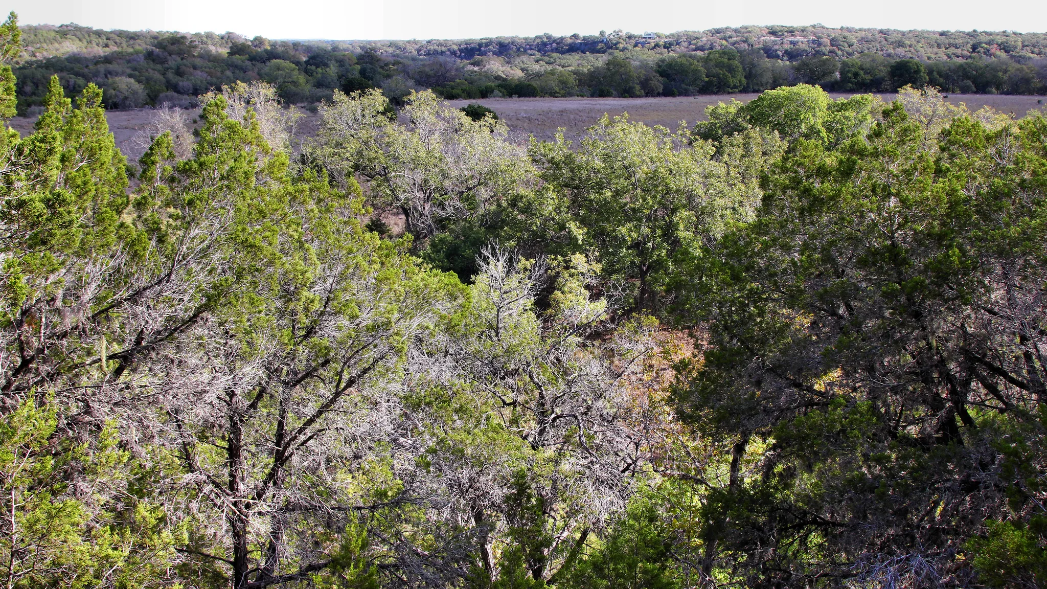 Honey Creek State Park