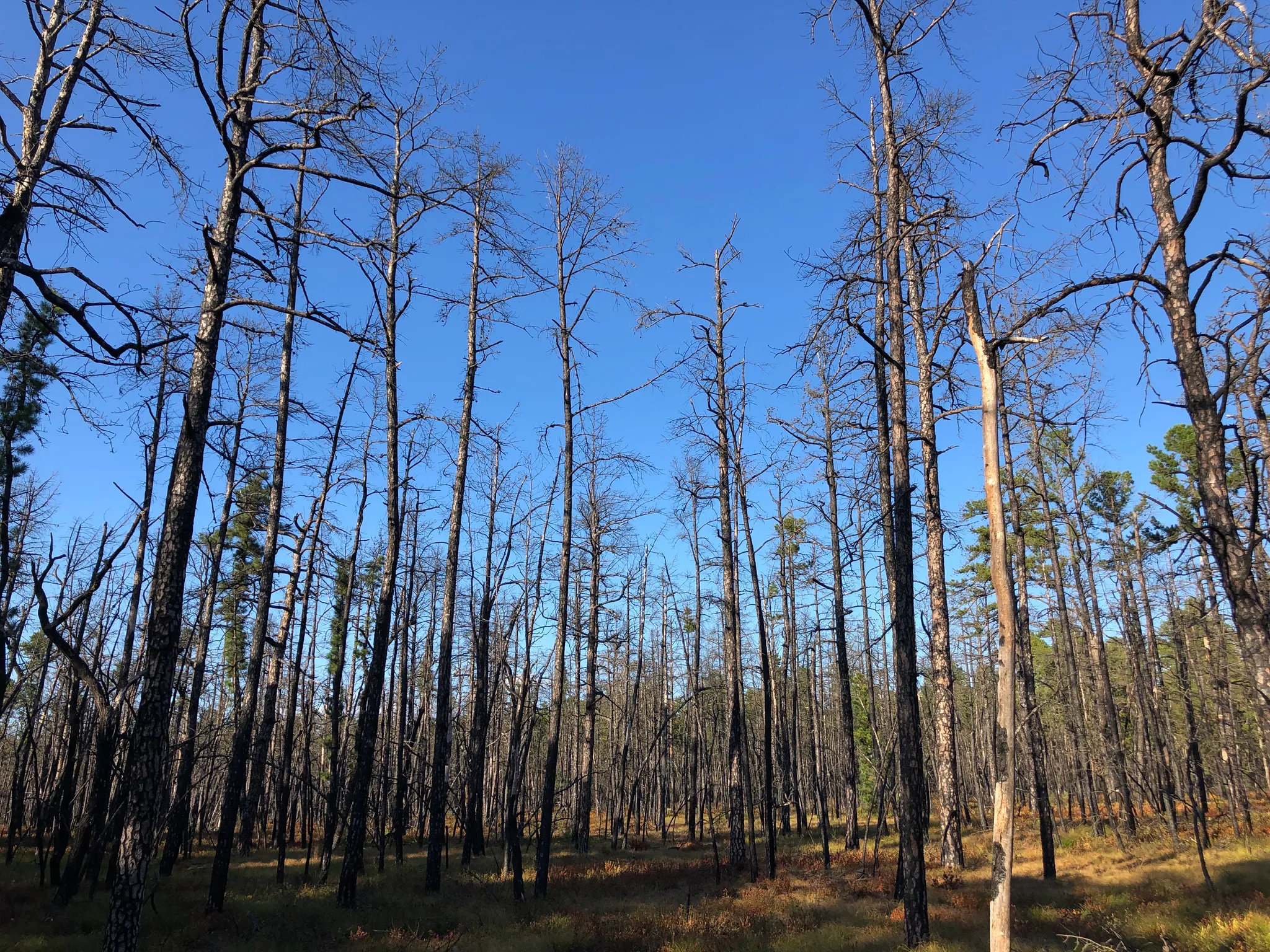 Wharton Campground