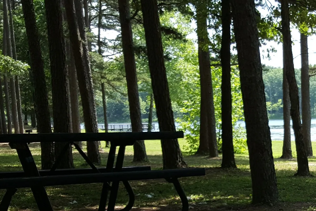 Fourche Lake Recreation Area