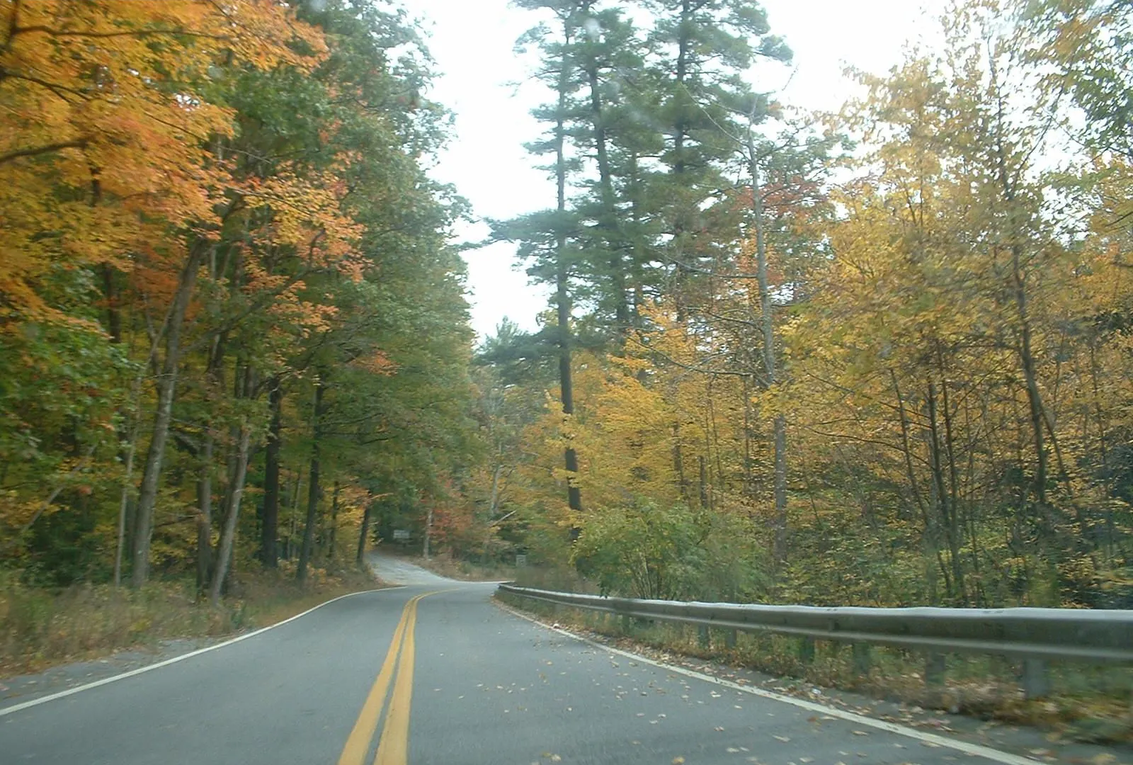 Willard Brook State Forest