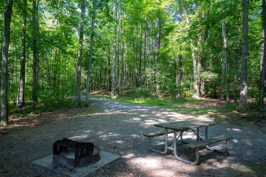 Max V. Shaul State Park