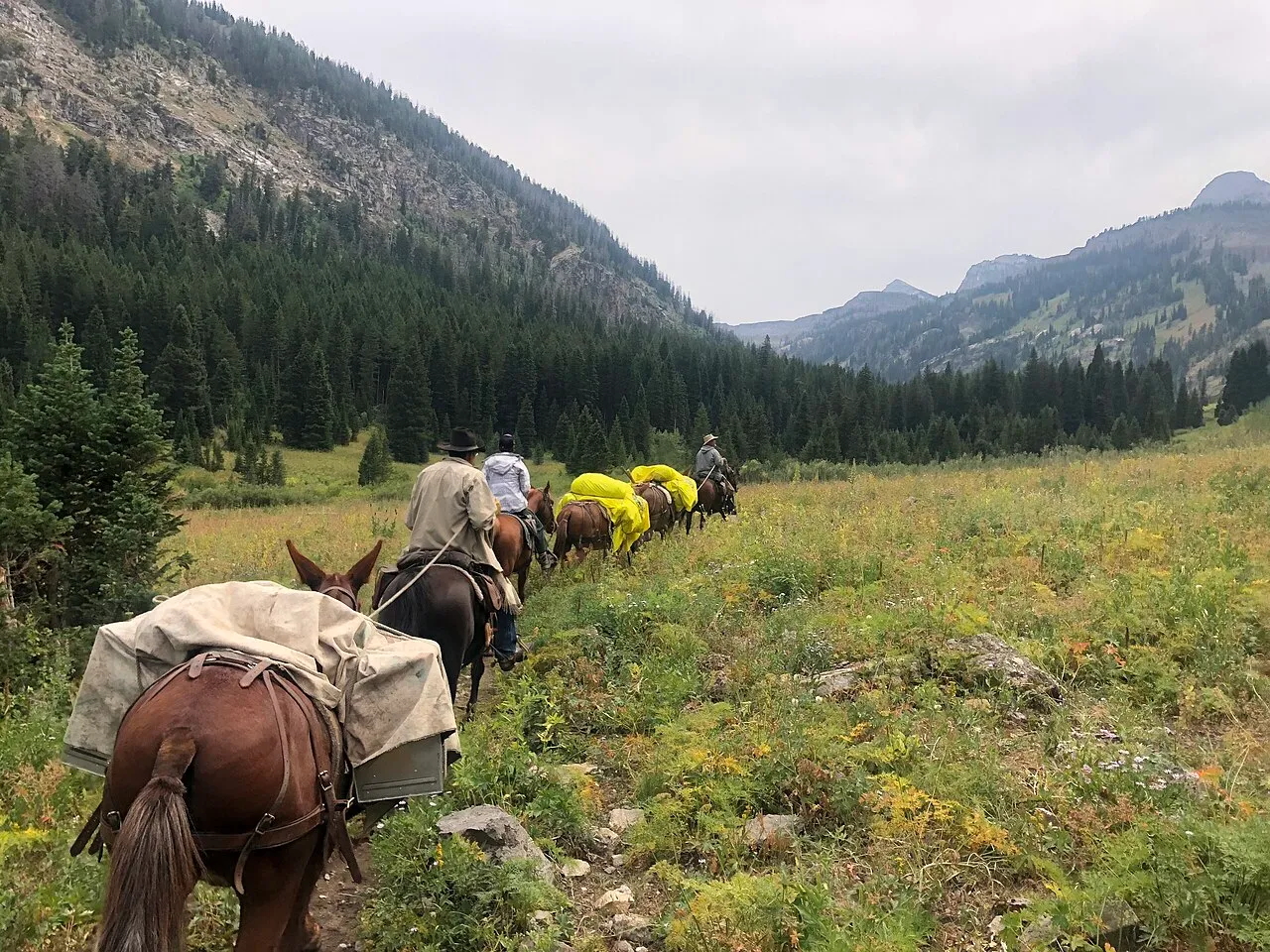 Grandview Campground (Idaho)