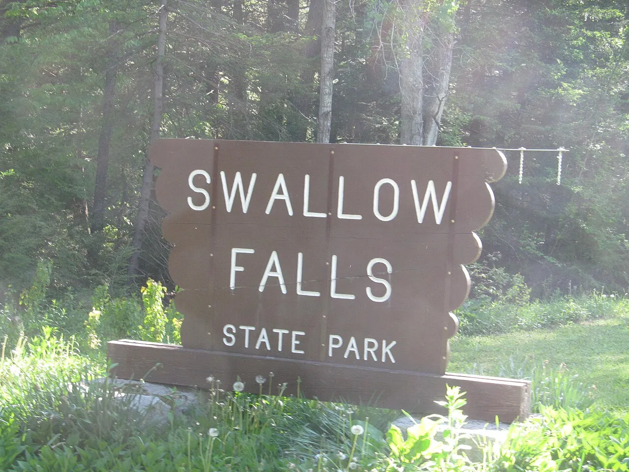 Swallow Falls State Park