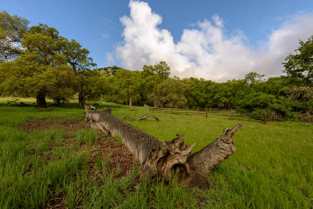 Fort Tejon Group Campground