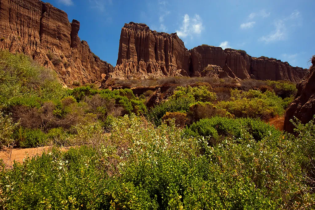 San Mateo Campground