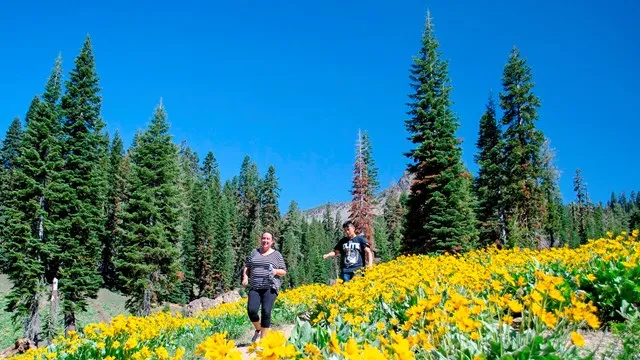 Summit Lake North
