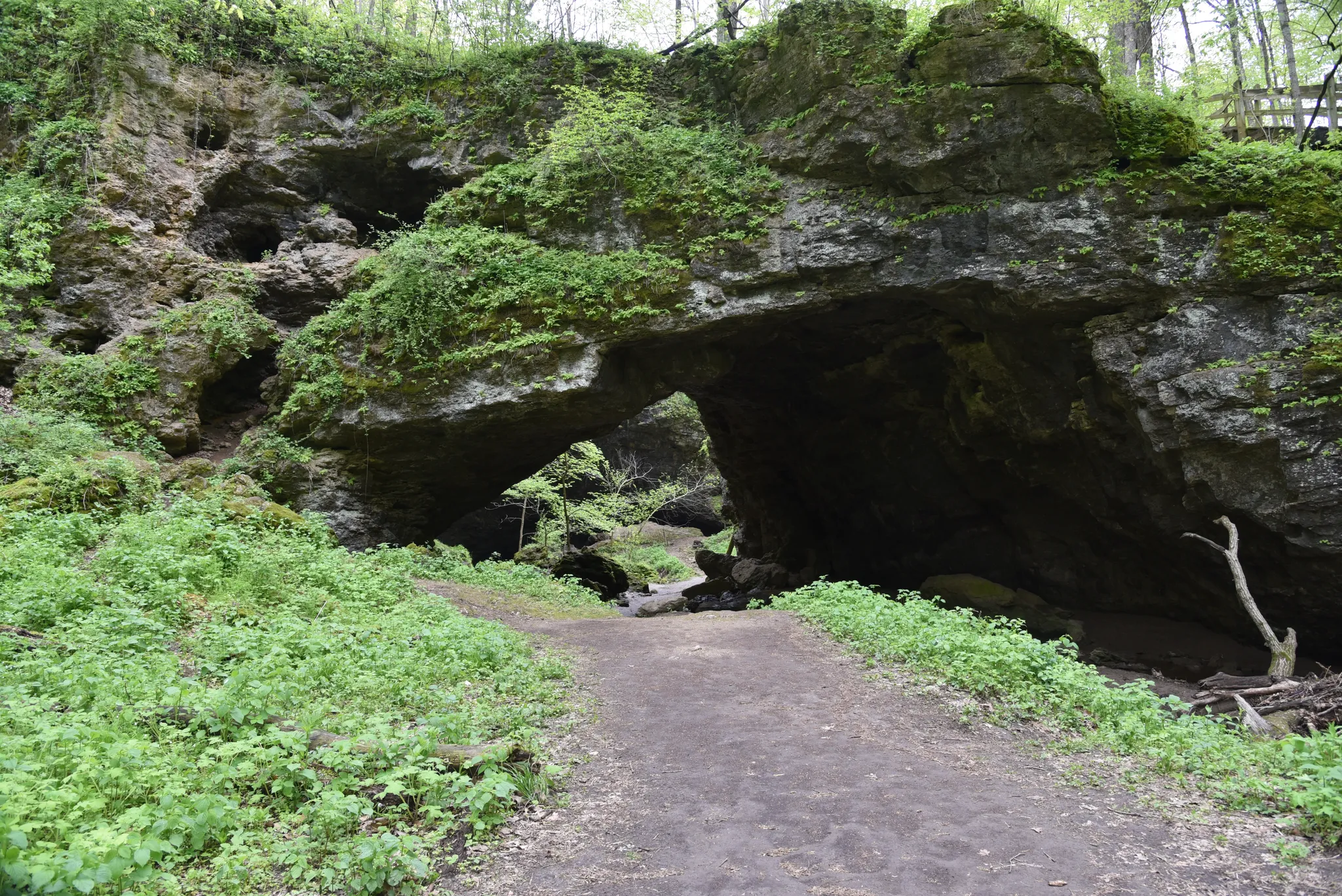 Maquoketa Caves State Park