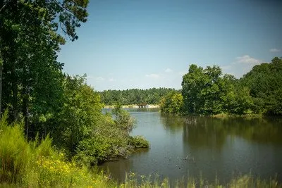 Panola Mountain State Park